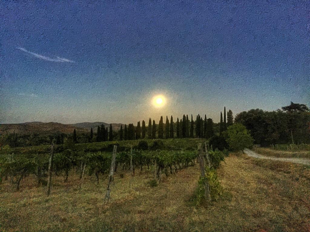 Tenuta Lupinari Bucine Buitenkant foto